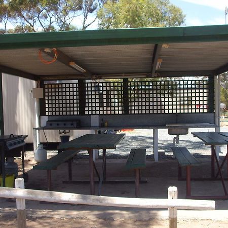 Acclaim Gateway Caravan Park Dundas Kültér fotó