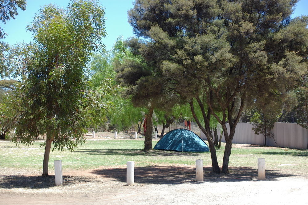 Acclaim Gateway Caravan Park Dundas Kültér fotó
